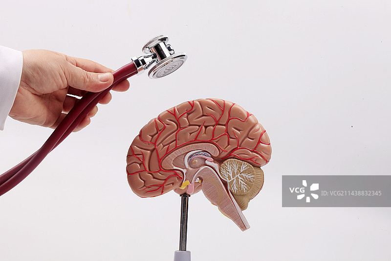 大脑   右半脑   听诊器    医生图片素材