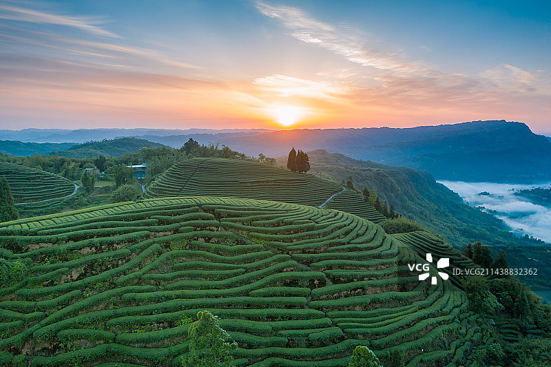 航拍茶山风光图片素材