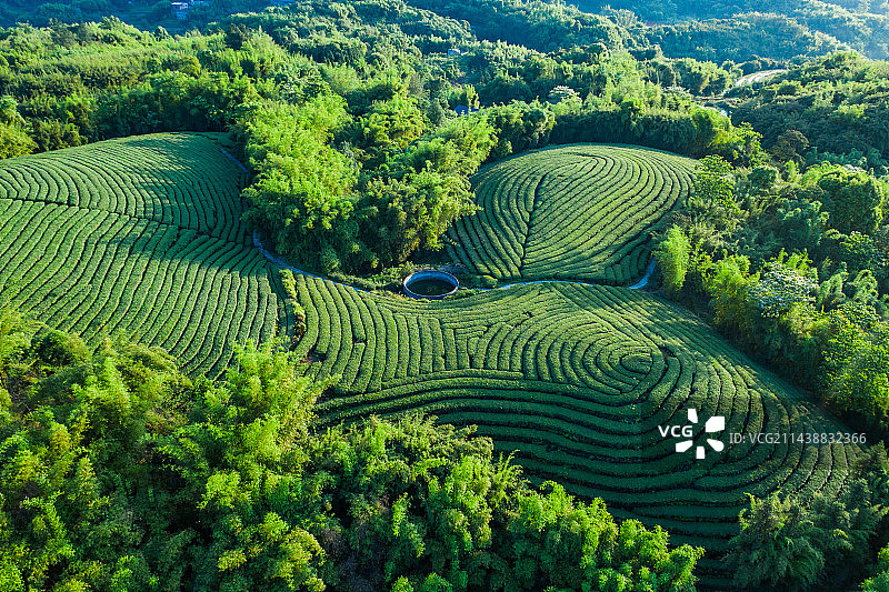 航拍中国茶山风光图片素材