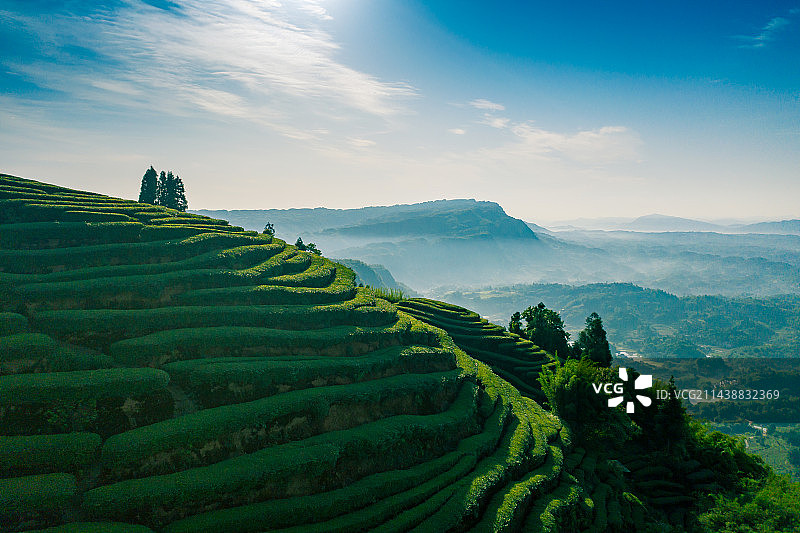 航拍中国茶山风光图片素材