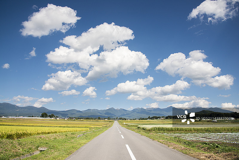 这条路延伸到日本长野县、矢竹山图片素材