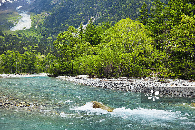 日本长野县松本市上高地的绿色植物和梓川图片素材