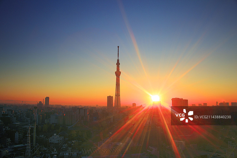 东京晴空塔的晨曦（东京台东区）图片素材
