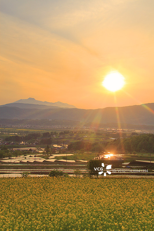 从福岛县的梯田眺望油菜花田、妙高山和日落图片素材