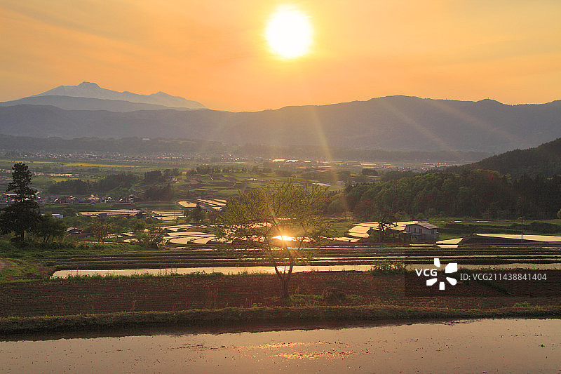 长野县饭山市福岛的梯田、油菜花公园和妙高山日落景色图片素材