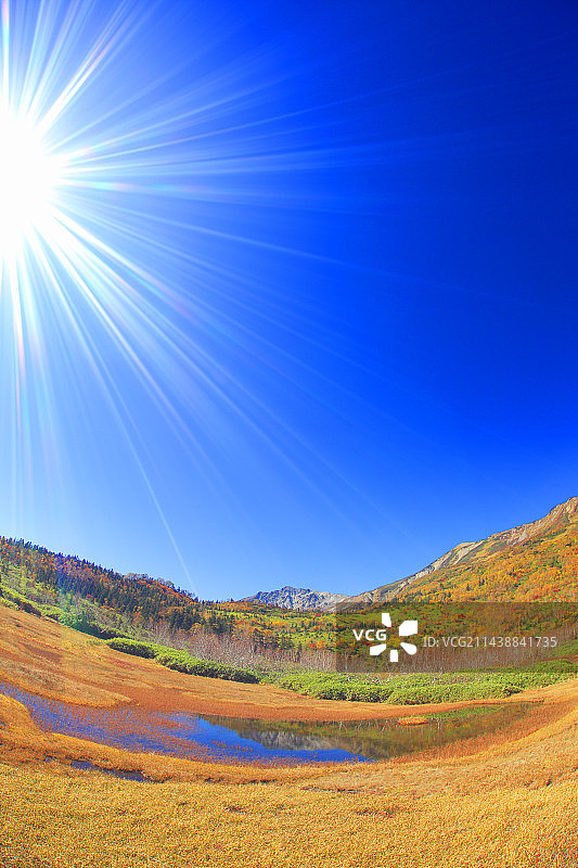 白马岳，秋叶倒映在湿地池塘中，阳光照射，长野县北安昙郡小谷村图片素材