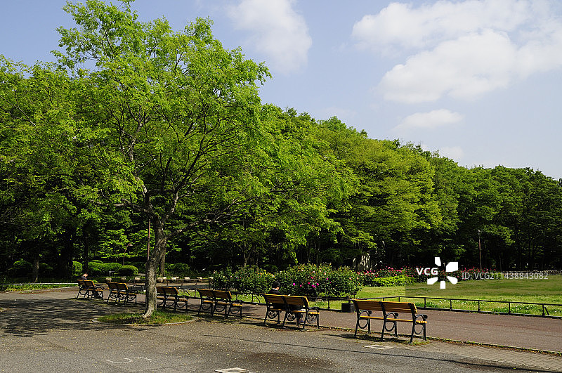 春季的东京日比谷公园图片素材