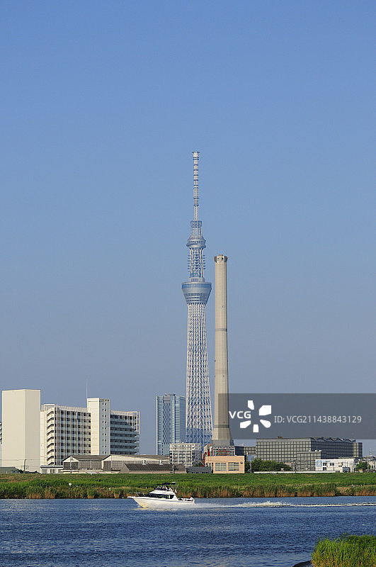 东京晴空塔，葛饰区，东京图片素材