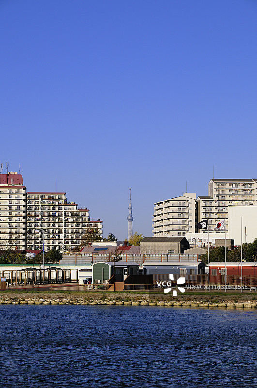 千叶县市川市的旧江户川和东京晴空塔图片素材