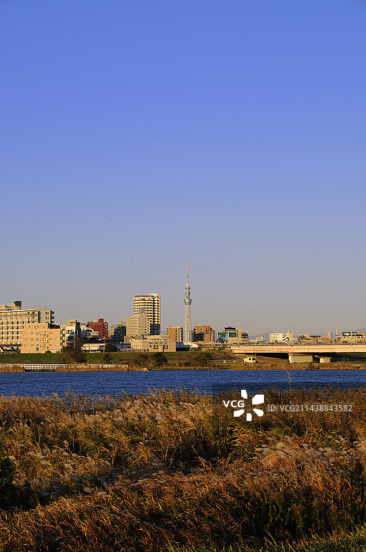 江户川和东京晴空塔（千叶县市川市）图片素材