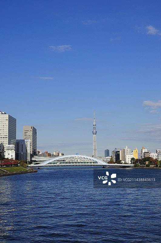 东京晴空塔与永代桥（东京都中央区）图片素材