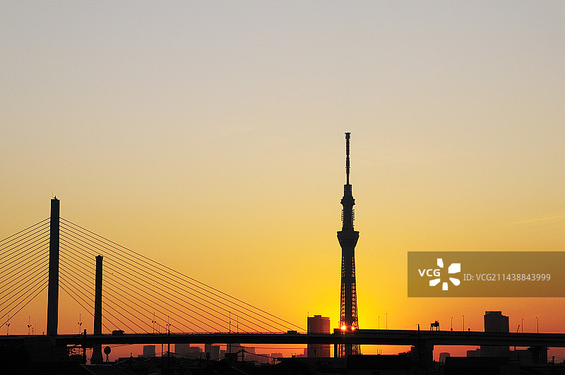 东京葛饰区内的葛饰竖琴桥和东京晴空塔图片素材