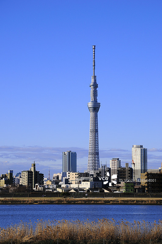 从东京葛饰区荒川河岸看到的东京晴空塔图片素材
