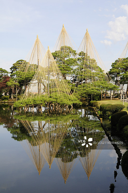 冬季金泽兼六园霞池唐崎松雪景，石川县金泽市图片素材