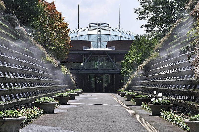 鸟取花回廊公园雾景图片素材