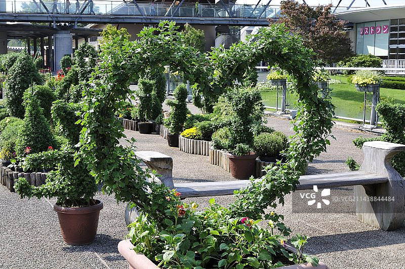 鸟取花回廊公园的菊花造型，日本鸟取县西伯郡图片素材