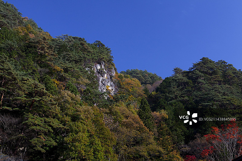 山梨县升仙峡峡谷秋叶图片素材