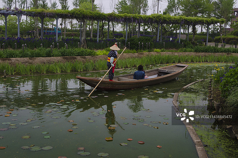水乡筑波国家纪念公园佐原水生植物园，香取市，千叶县，日本图片素材