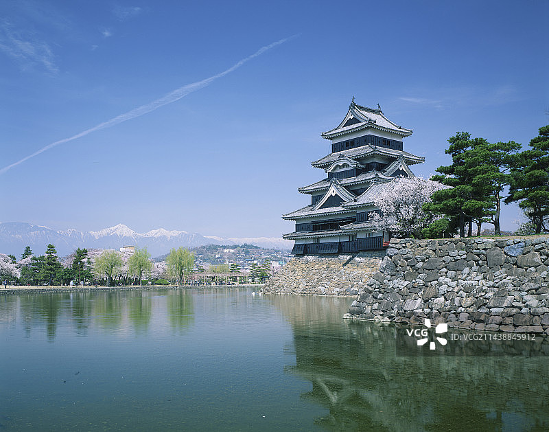 长野县松本市的樱花和松本城护城河图片素材