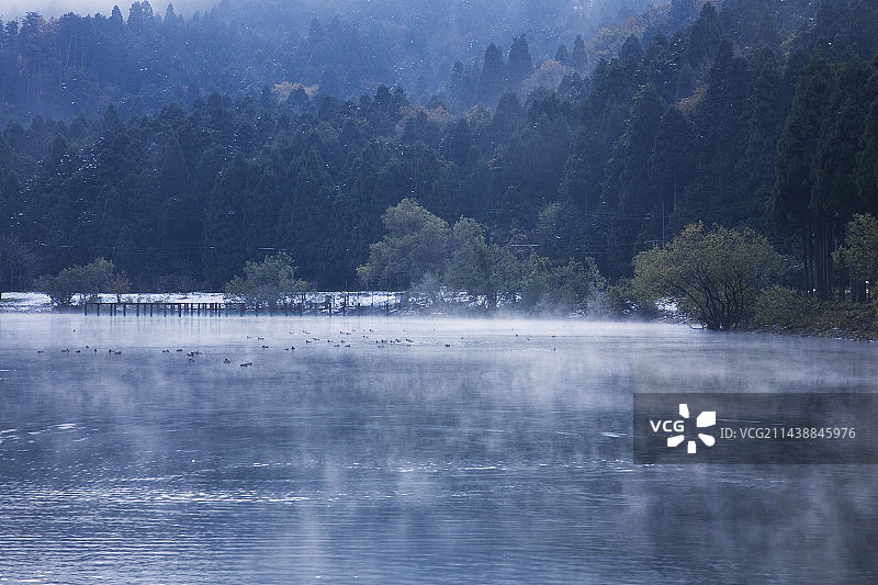 日本滋贺县余吴湖清晨图片素材