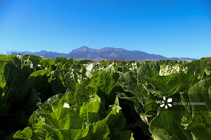 八岳山与乡村，日本长野县南牧村图片素材
