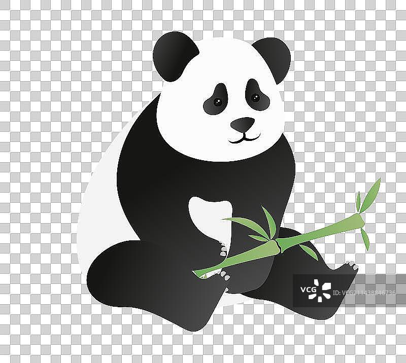 动物公园中国画中国国宝野生哺乳动物熊猫图片素材