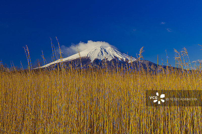 从山梨县忍野村看到的富士山图片素材