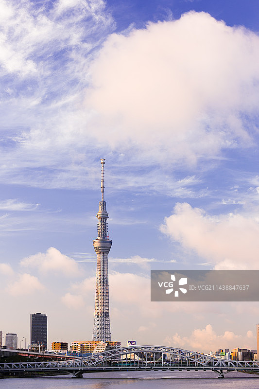 清晨的东京晴空塔、白须桥和隅田川，南千住，荒川区，东京，日本图片素材