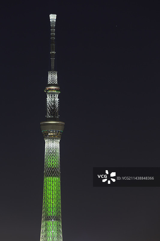 东京晴空塔圣诞灯饰香槟树，日本东京荒川区图片素材