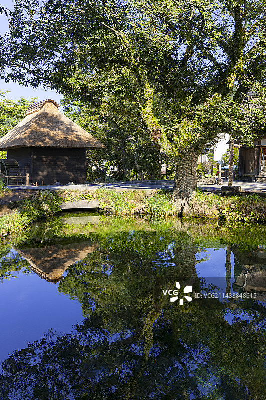 日本山梨县忍野八海涌池图片素材