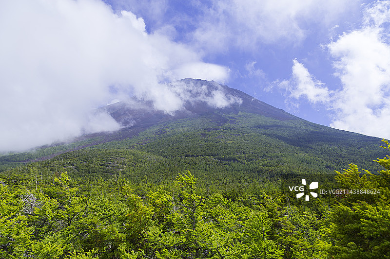 从奥庭自然徒步道眺望富士山，日本山梨县图片素材