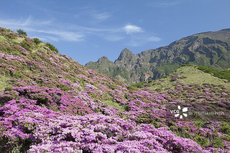 熊本县阿苏市穿水峡筒井图片素材