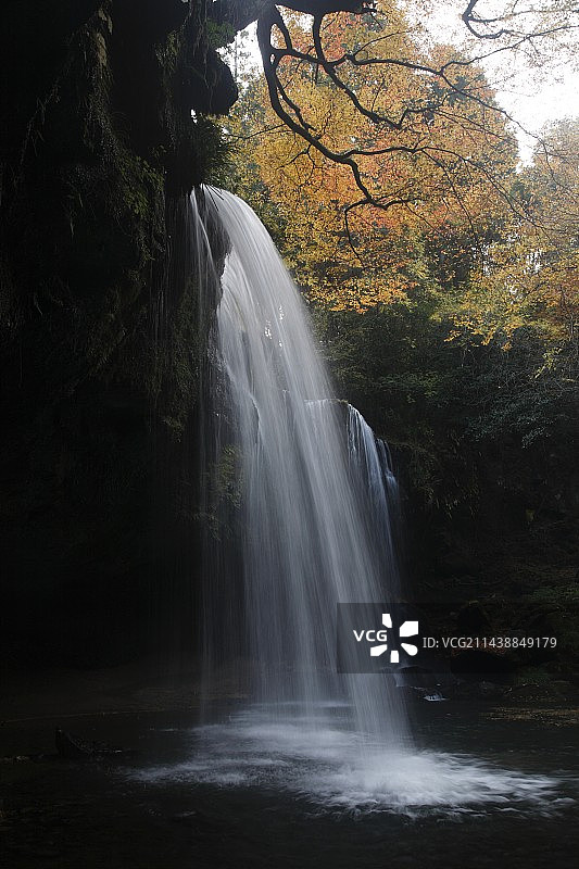 日本熊本县小国町锅瀑布图片素材