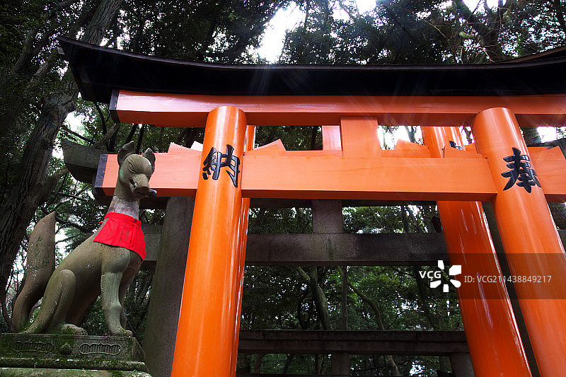伏见稻荷大社的千本鸟居和狐狸，京都府京都市伏见区图片素材