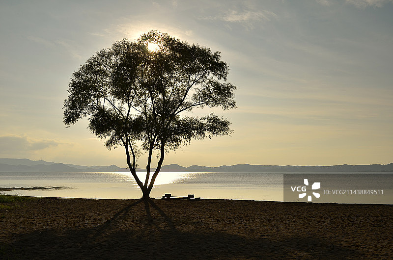 猪苗代湖湖岸和湖边树木，福岛县中驹图片素材