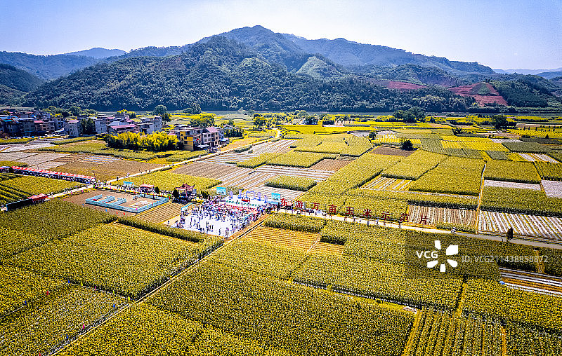 福建建瓯，东游镇万亩玉米示范片图片素材