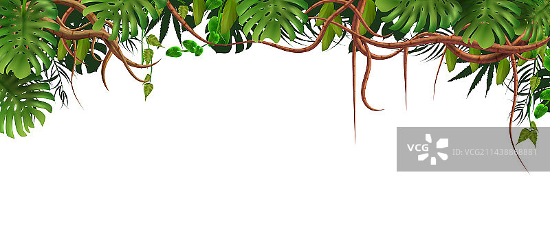异域风情丛林树枝组合图片素材