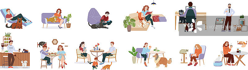 宠物友好室内设计图片素材