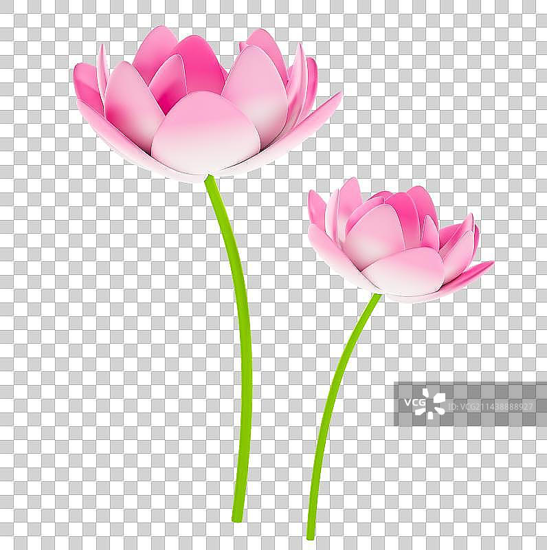 C4D立体荷花元素图片素材