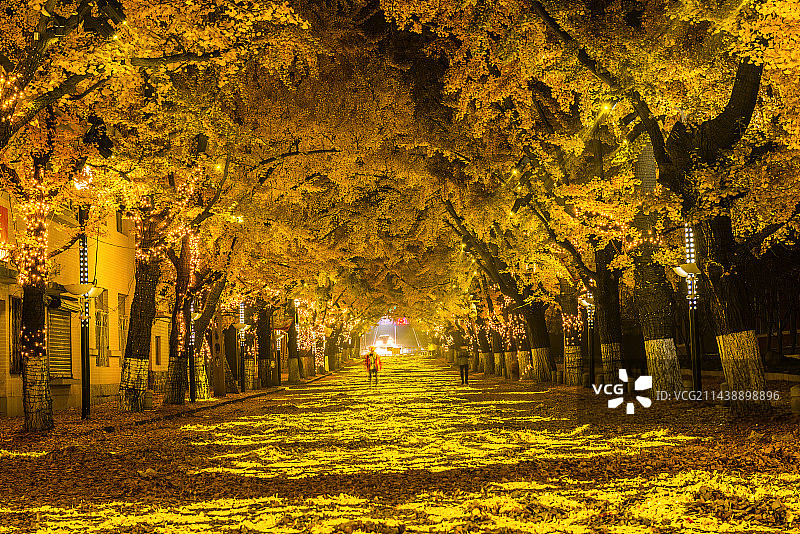 丹东九纬路图片素材