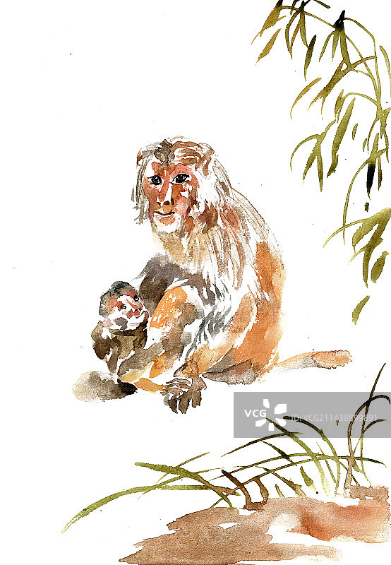 依偎的猴子图片素材