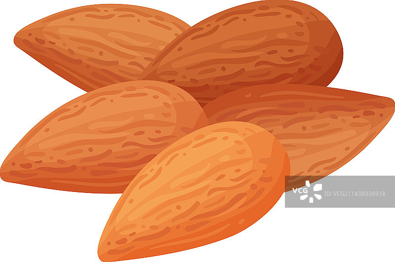 扁平风杏仁图片素材