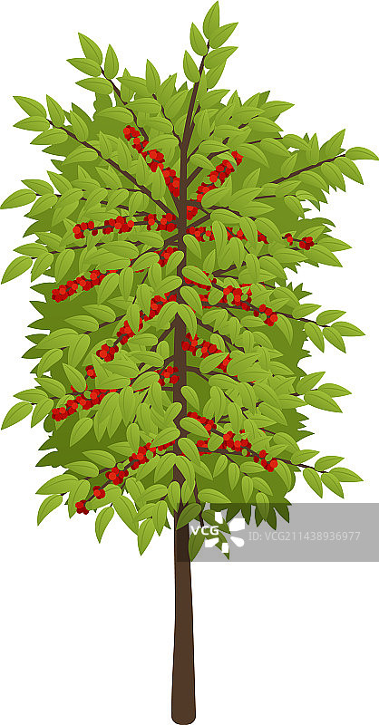 2.5D咖啡灌木图片素材