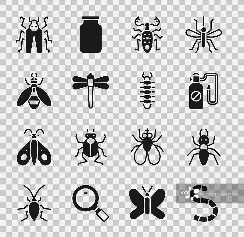 蠕虫蚂蚁压力喷雾器甲虫鹿图片素材