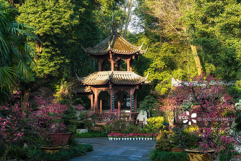 成都杜甫草堂博物馆盆景园园林春季风光图片素材