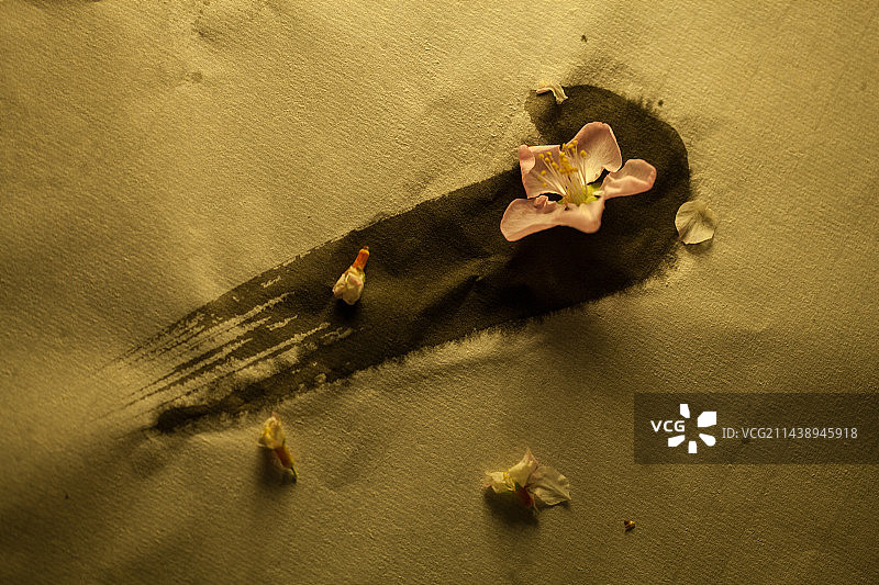 中国传统文化静物书法作品上飘落的花瓣图片素材