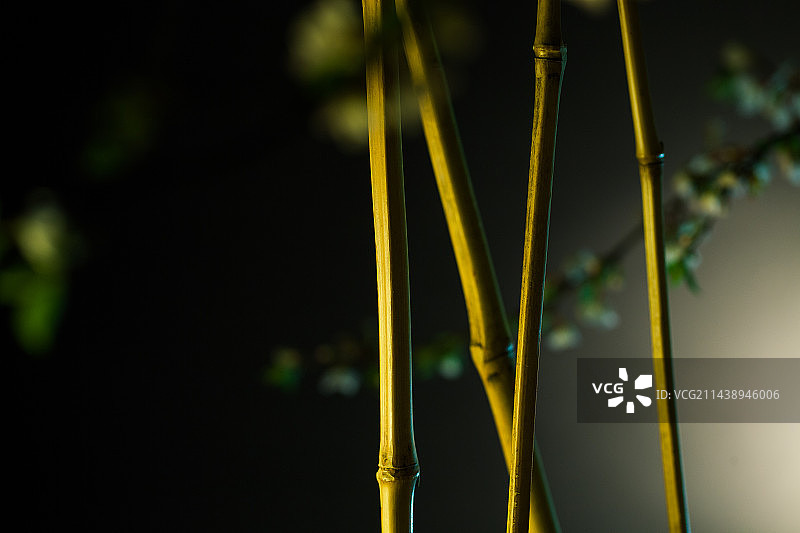 室内竹子花枝组合的背景图图片素材