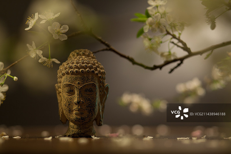 中国传统文化静物佛像图片素材