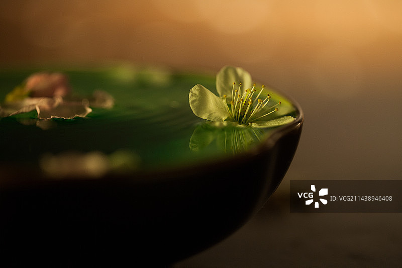 东方茶文化陶瓷茶杯上的桃花图片素材