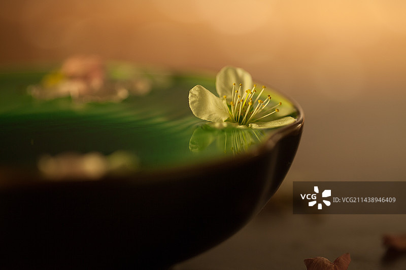 东方茶文化陶瓷茶杯上的桃花图片素材